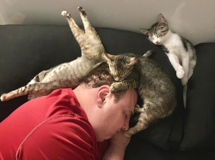 20+ Photos We Can Use To Turn A Person Into A Cat Lover