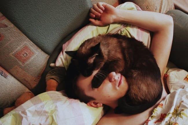 20 Amazing Discoveries You Make When You Have A Cat