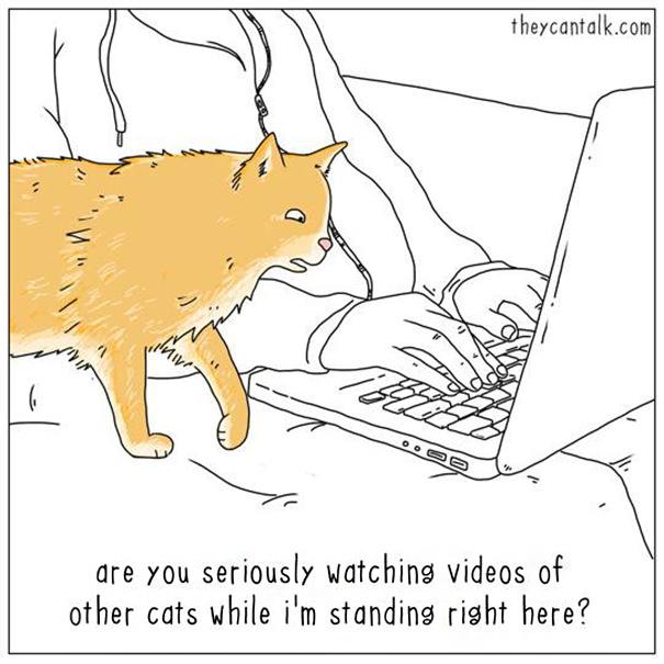 30 Differences Between Cats And Dogs That Will Make You Laugh