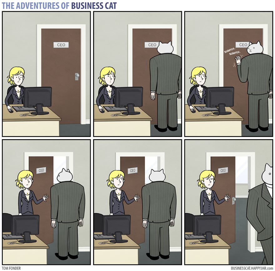 If Your Boss Was A Cat