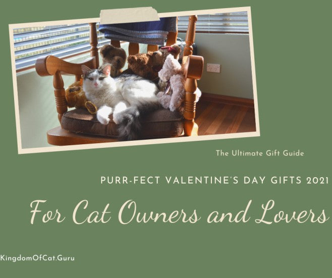 Purr-fect Valentine’s Day Gifts For Cat Owners and Lovers: The Gift Guide