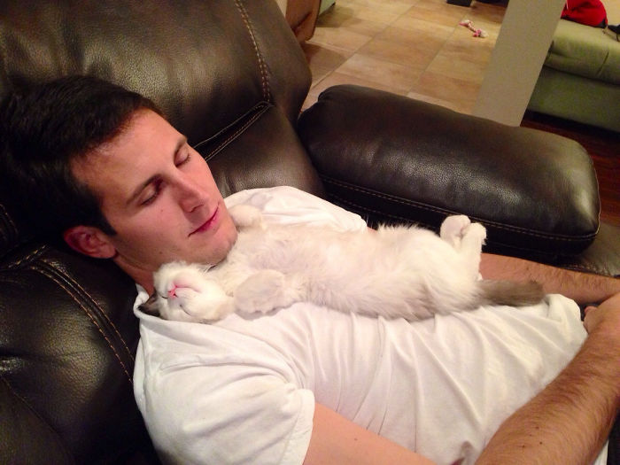 People Who Claimed They Didn’t Want The Cat (But Now They Want)