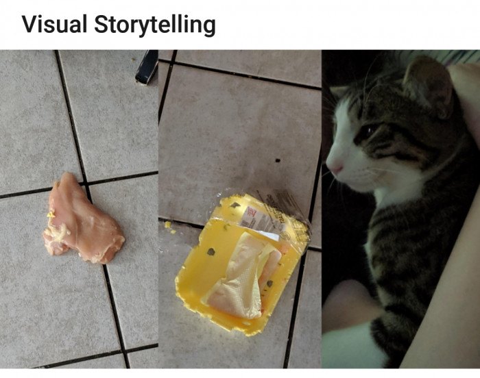 18 Naughty Cats Can't Stop Biting Things
