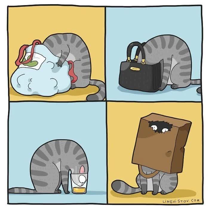 16 Brilliant Artist Illustrates The Hilarious Moments In Every Cat Owner's Life