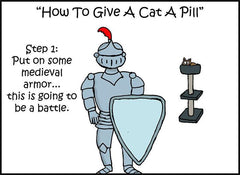 Hilarious 10-Step Guide Goes To Extreme Lengths Explaining How To Give a Cat a Pill