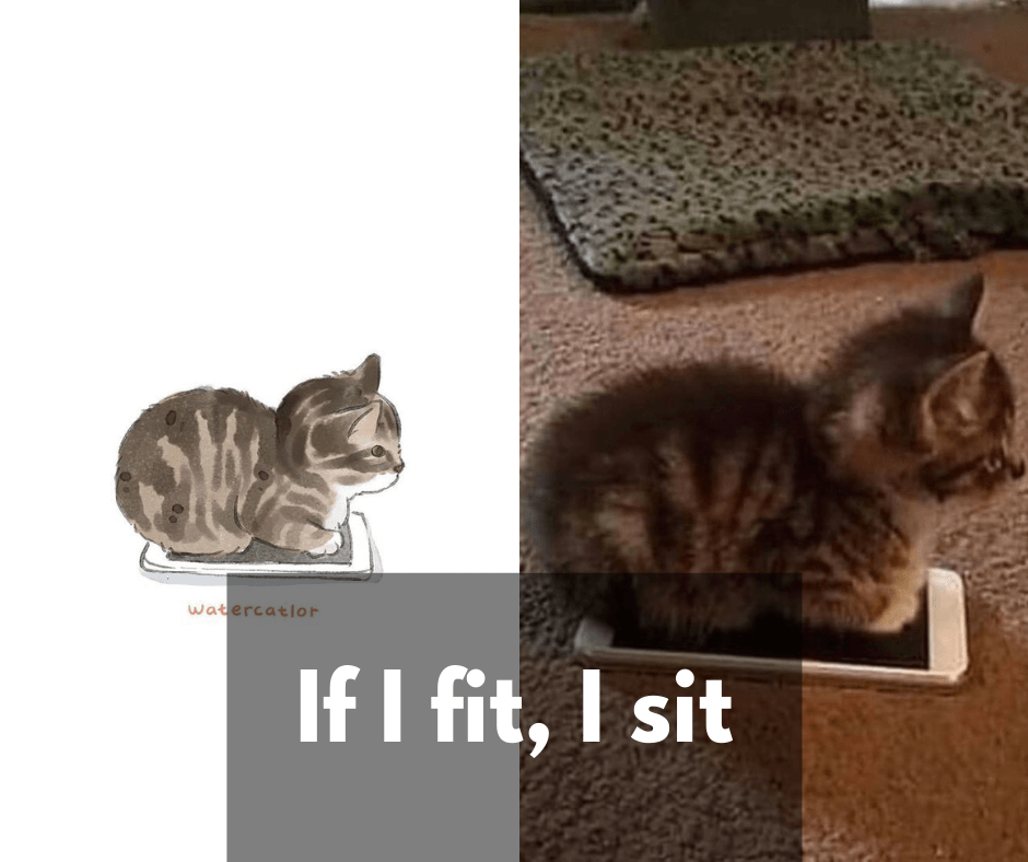 30 "Watercolorized" Versions Of The Internet's Funniest & Most Famous Cats