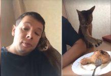 Sneaky Cat Attempt Trying To Steal Chicken Drumstick From Its owner Is Truly Hilarious