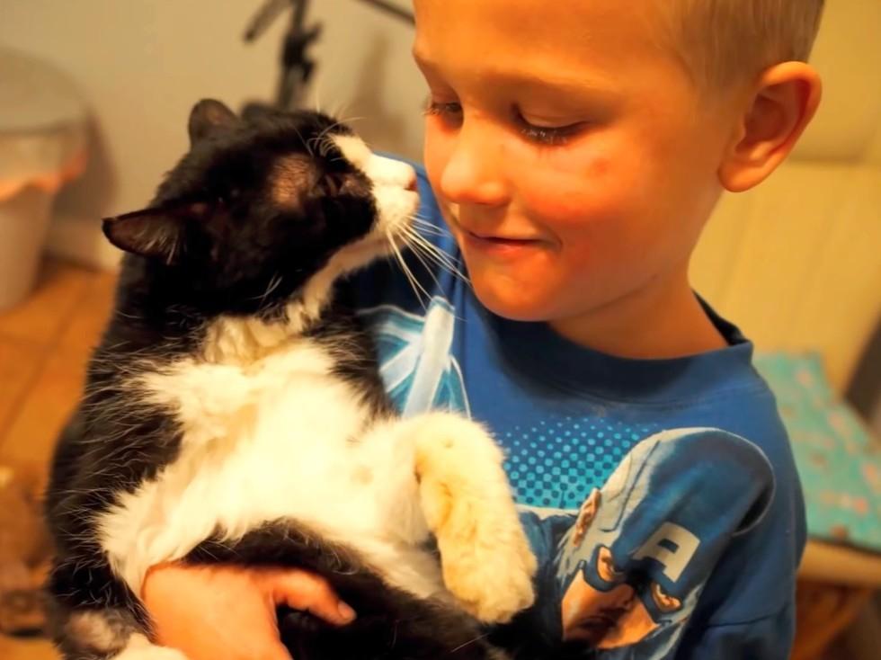 Family adopted a 20 year old cat from the shelter, never expected how much love he had left to give