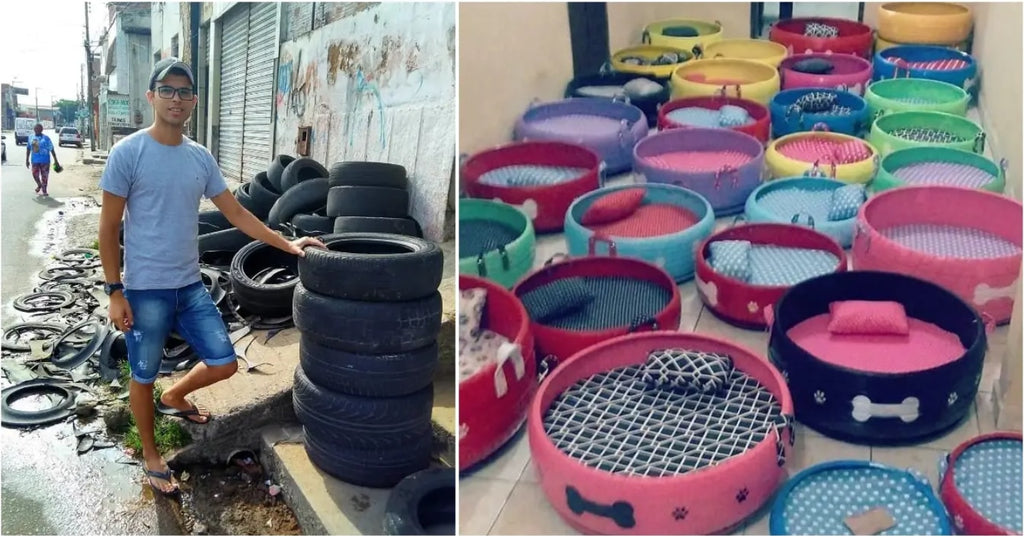 Man Collects Old Tires to Turn Them Into Cozy Beds For Stray Dogs And Kittens